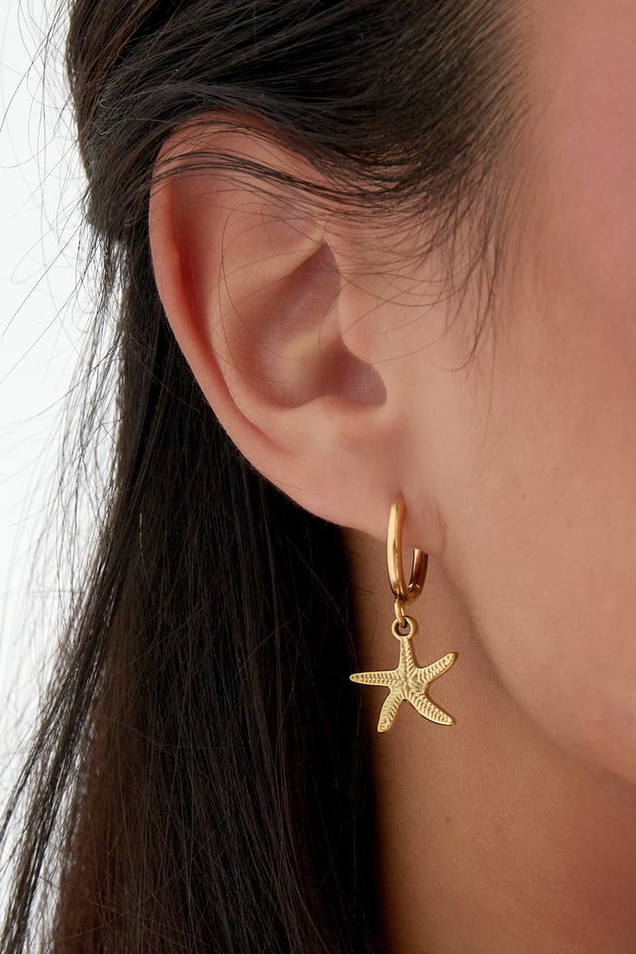 Earrings simple starfish