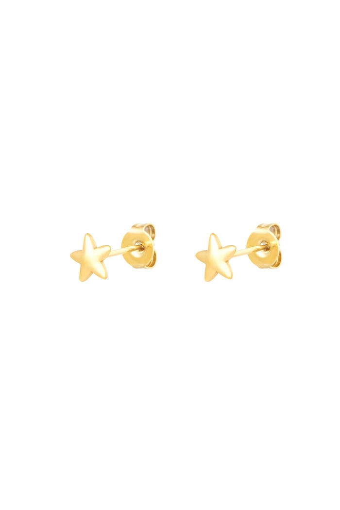 Stud earrings star