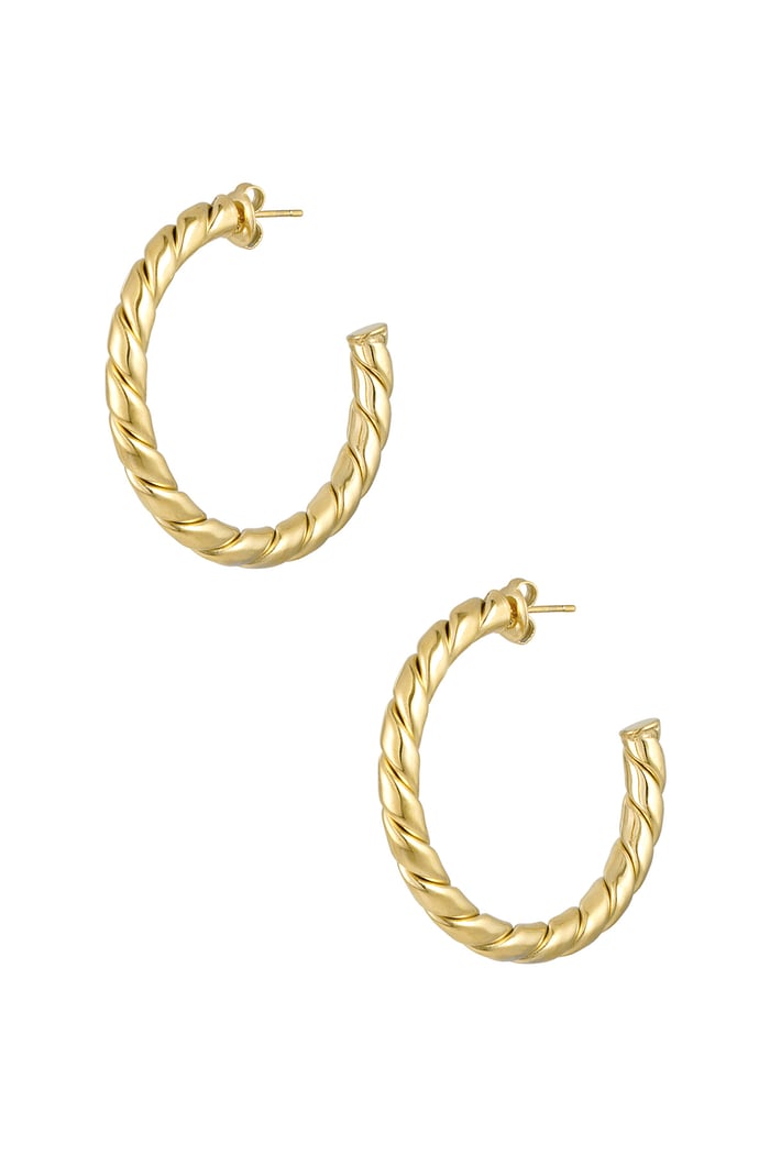 Earrings twisted basic