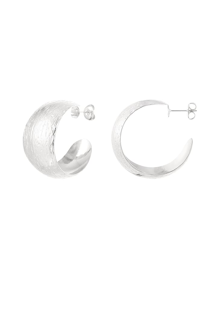 Earrings moon brushed