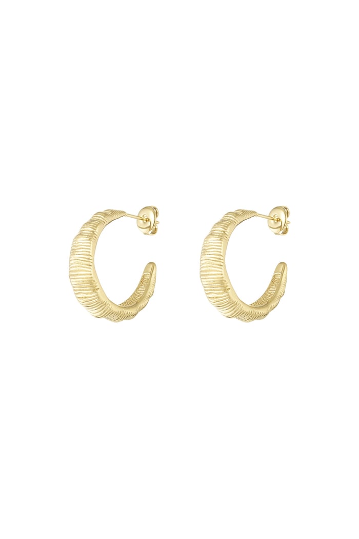 Textured hoops earrings