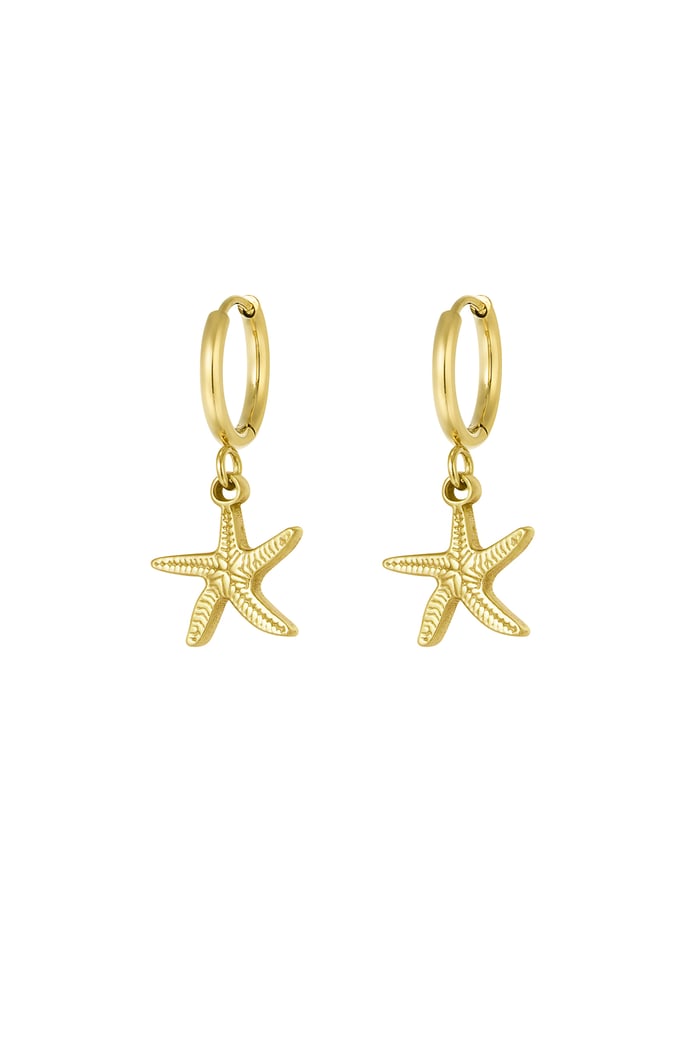 Earrings simple starfish