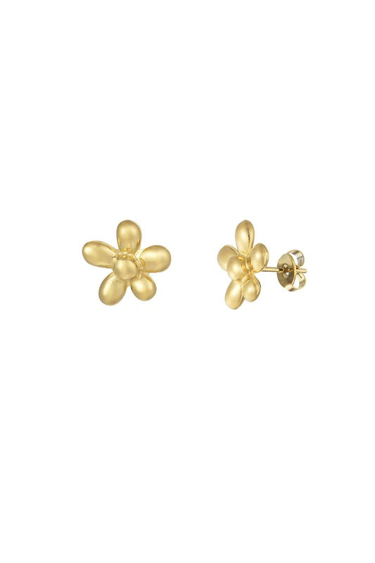 Cute daisy flower earrings