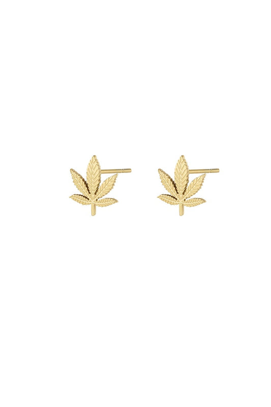 Canna bliss studs