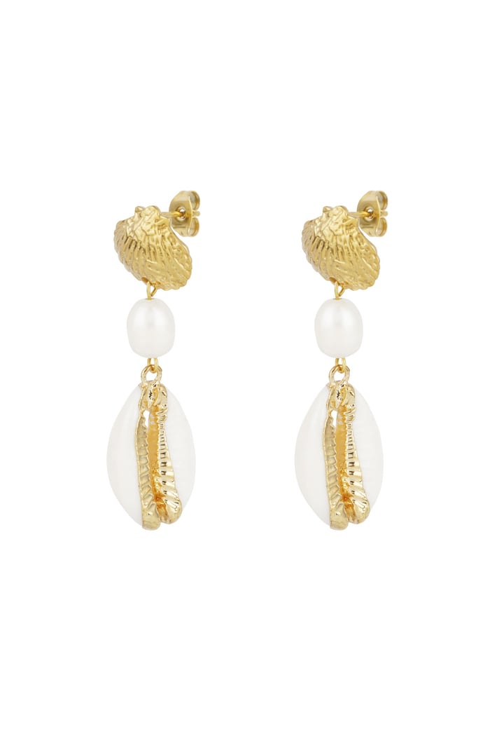 Earrings shell summer